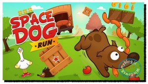 space dog run
